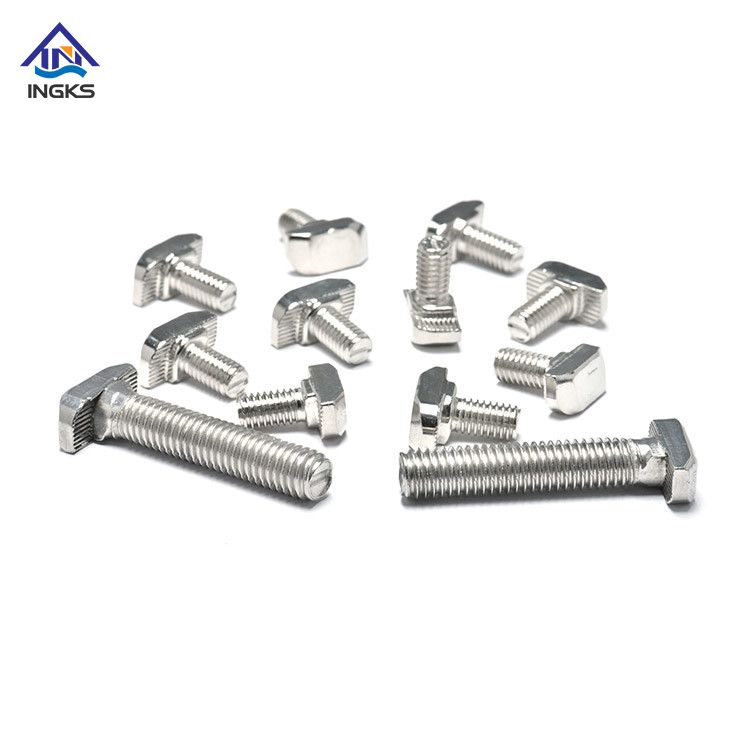 Customized Stainless steel 304 316 Hammer Head T Shaped bolt from China