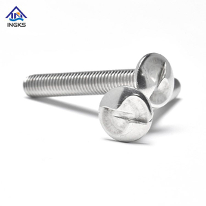 SS304 316 Antidiefstalschroef met &eacute;&eacute;nrichtingstrusskop