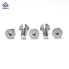 រន្ធ A2 A4 ត្រីកោណ CSK Head Security Screw